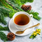 Spruce Tip Tea
