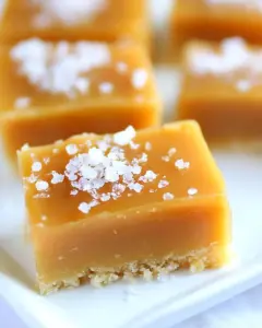 Salted Caramel Bars