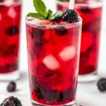Starbucks Very Berry Hibiscus Refresher Recipe